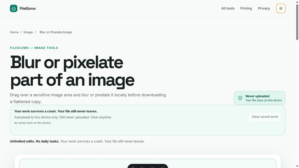 FileGizmo face and license plate blur tool in light and dark themes